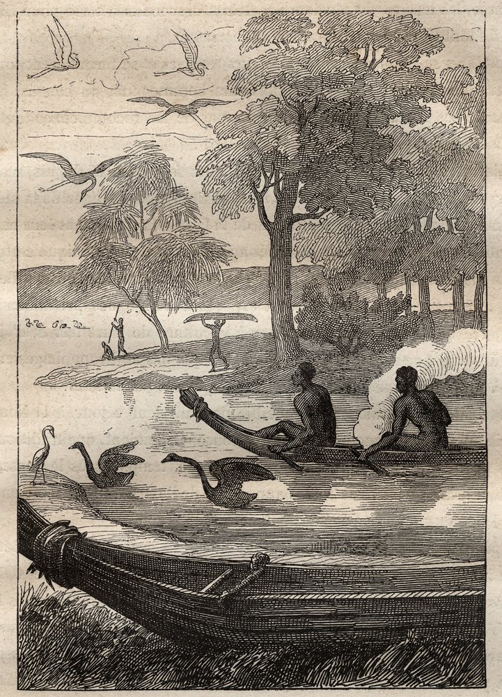 Expedición de Antoine Bruny de Unknown artist