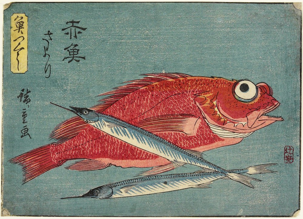 Pargo Rojo y Medio Pico, 1830-1844 de Utagawa Hiroshige
