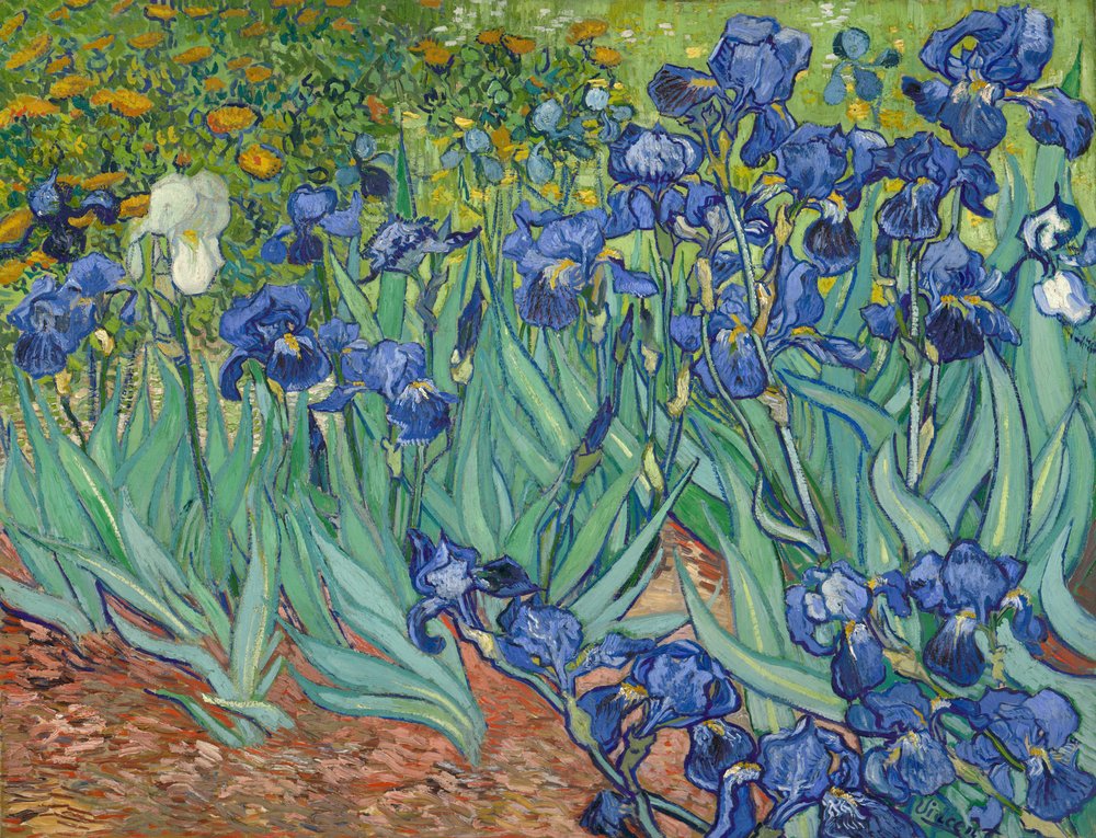 Lirios de Vincent van Gogh