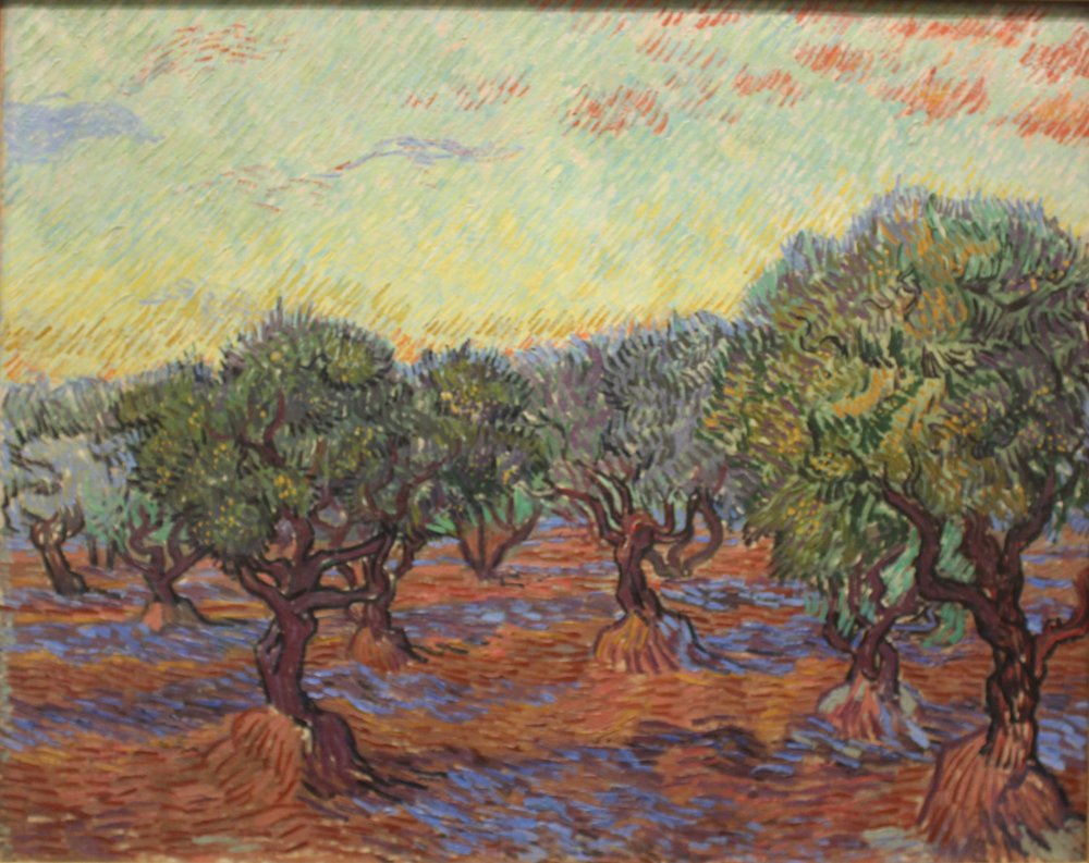 Olivar de Vincent van Gogh