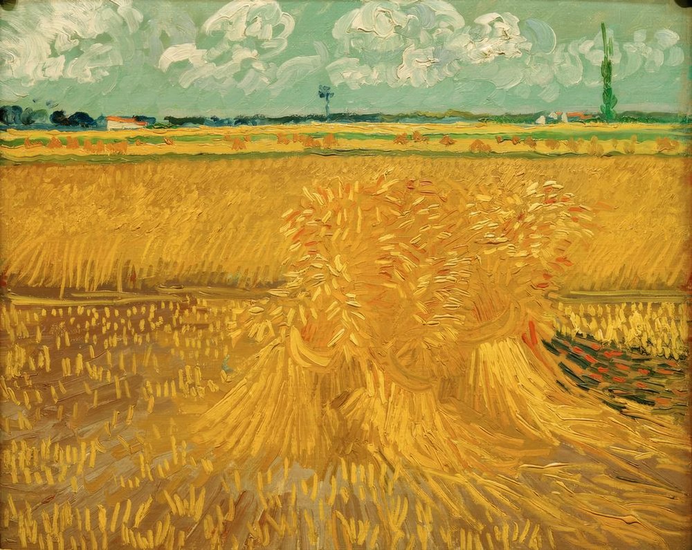 Campo de trigo con haz de trigo de Vincent van Gogh