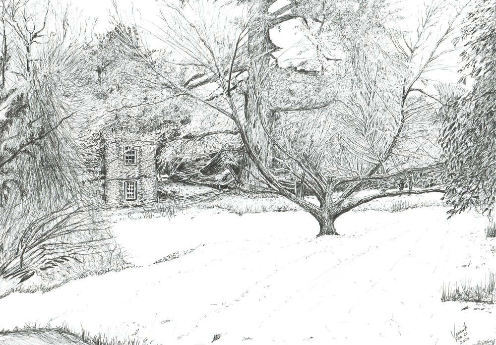 El árbol del pañuelo en los jardines de Monk Coniston, 2024 (tinta sobre papel) de Vincent Alexander Booth