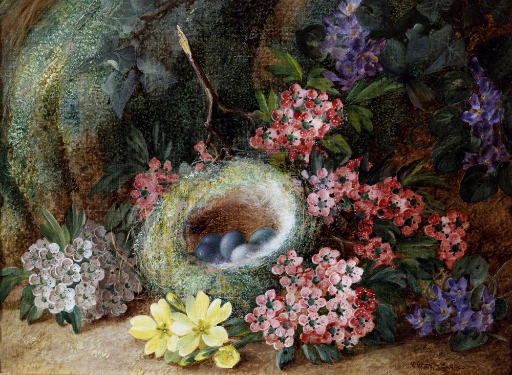 Nido de pájaros con flores y prímulas. Pintura de Vincent Clare (hacia 1855-1930) Colección particular. de Vincent Clare