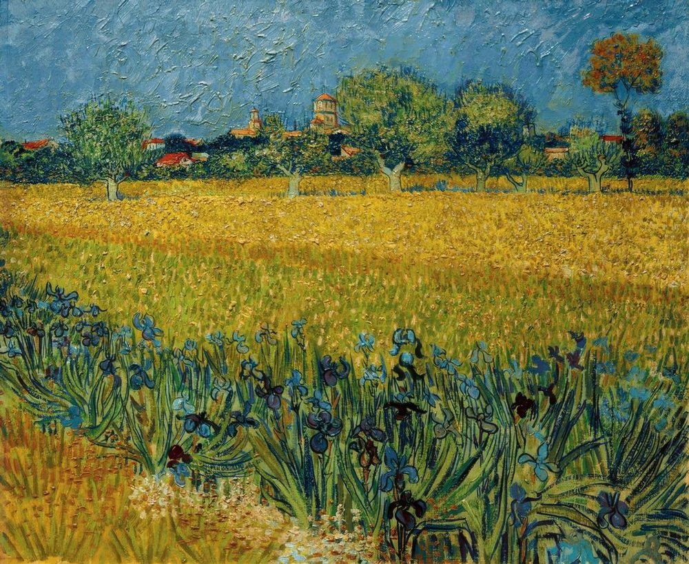 Vista de Arles con iris en primer plano de Vincent van Gogh