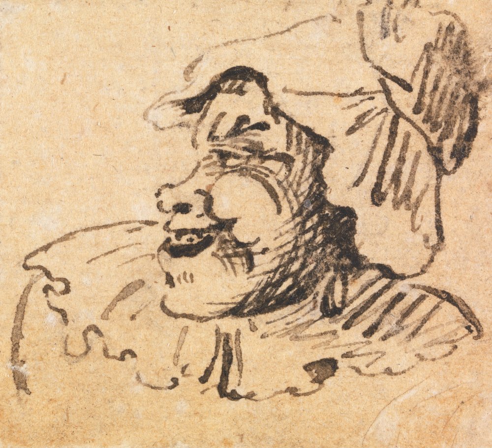 Cabeza masculina grotesca de William Hogarth
