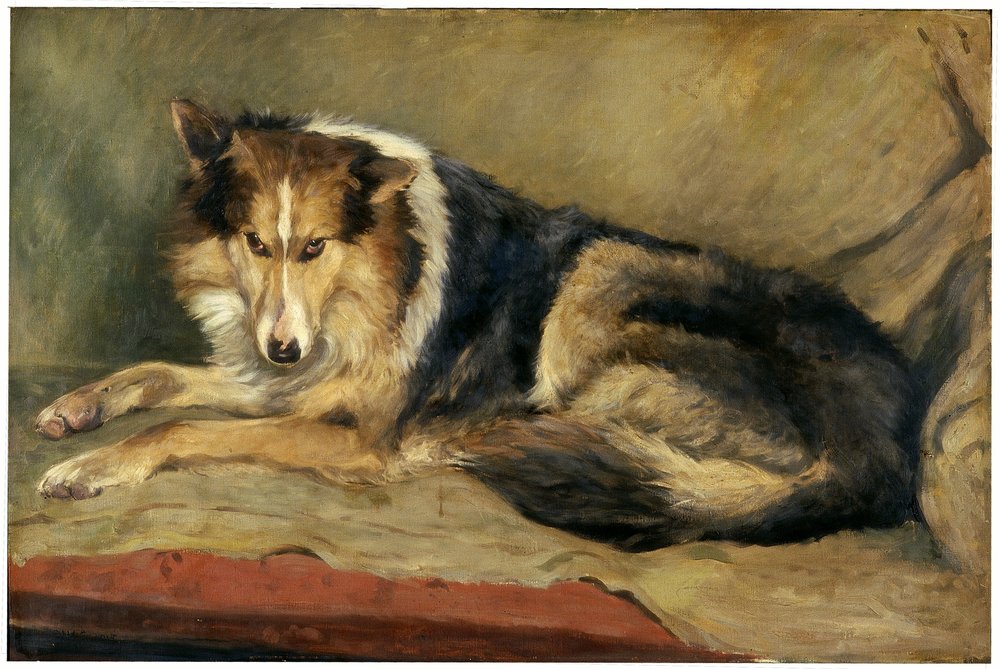 Perro Collie de William Henry Charlton