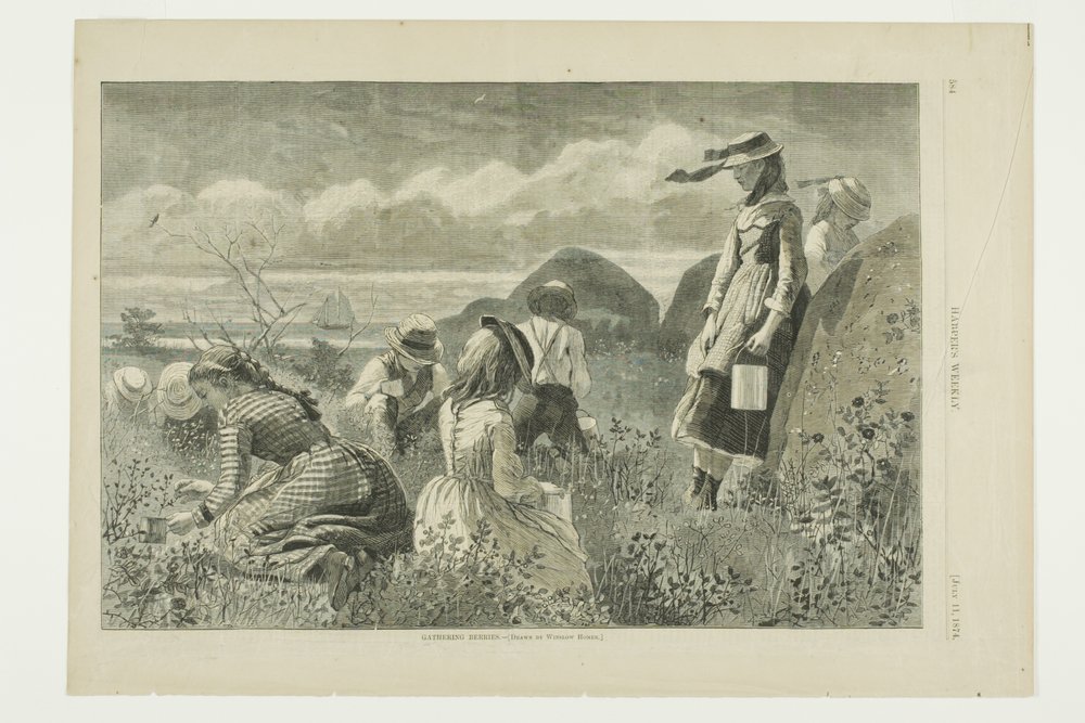 Recogida de bayas de Winslow Homer