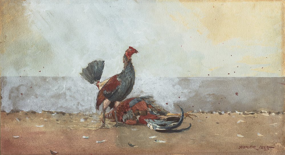La pelea de gallos de Winslow Homer