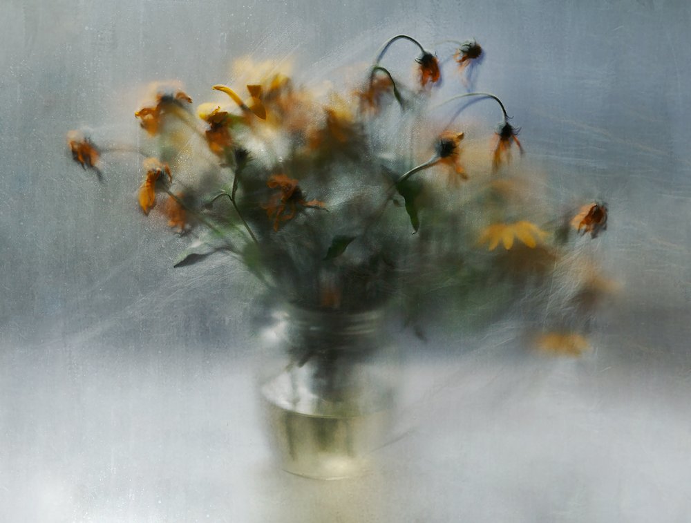 Flores que se desvanecen en un sueño de Ala Pneuma