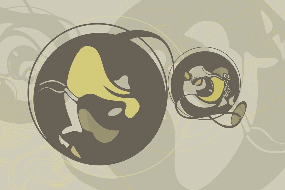 Formas orgánicas dinámicas de Alejandra Winkhaus