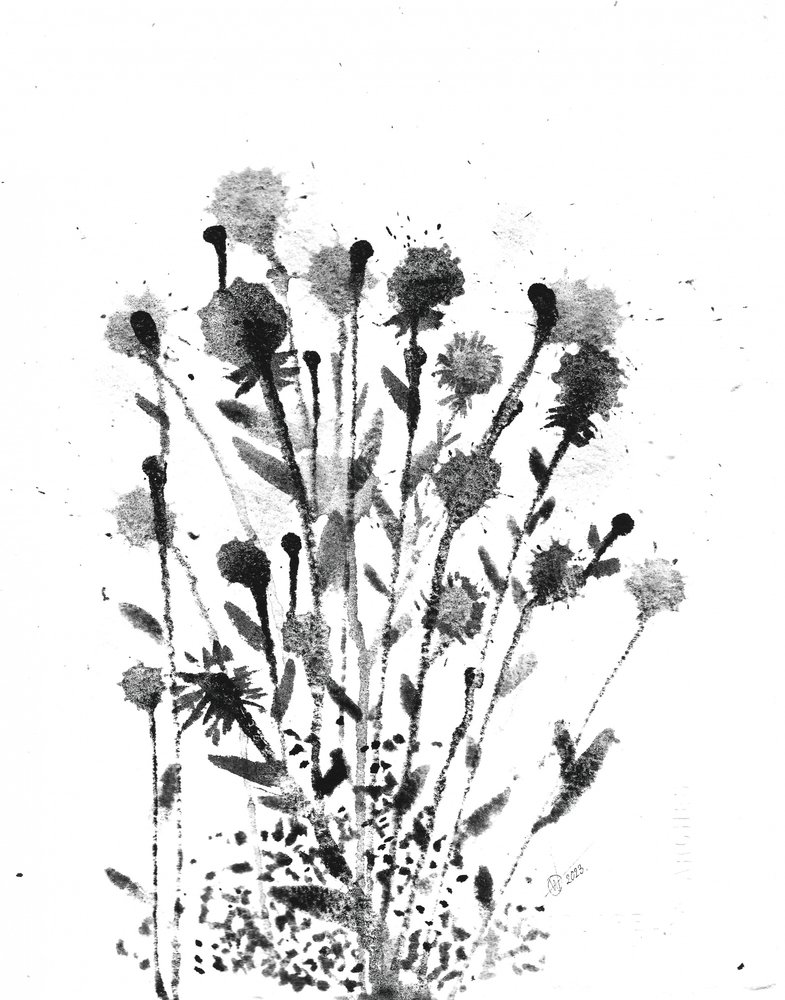 Resumen: «Ink Blooms» de Alex Walsh