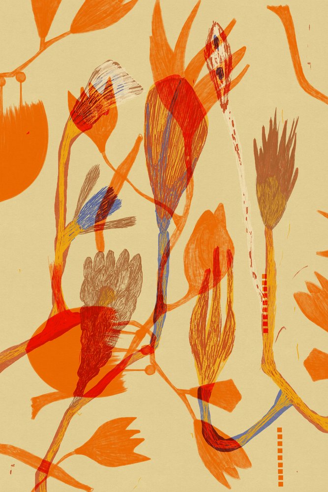 Día de Alexander Adiels