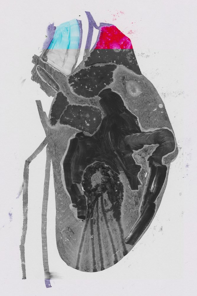 Media de Alexander Adiels