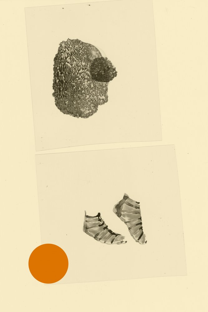 Pie de cabeza de Alexander Adiels