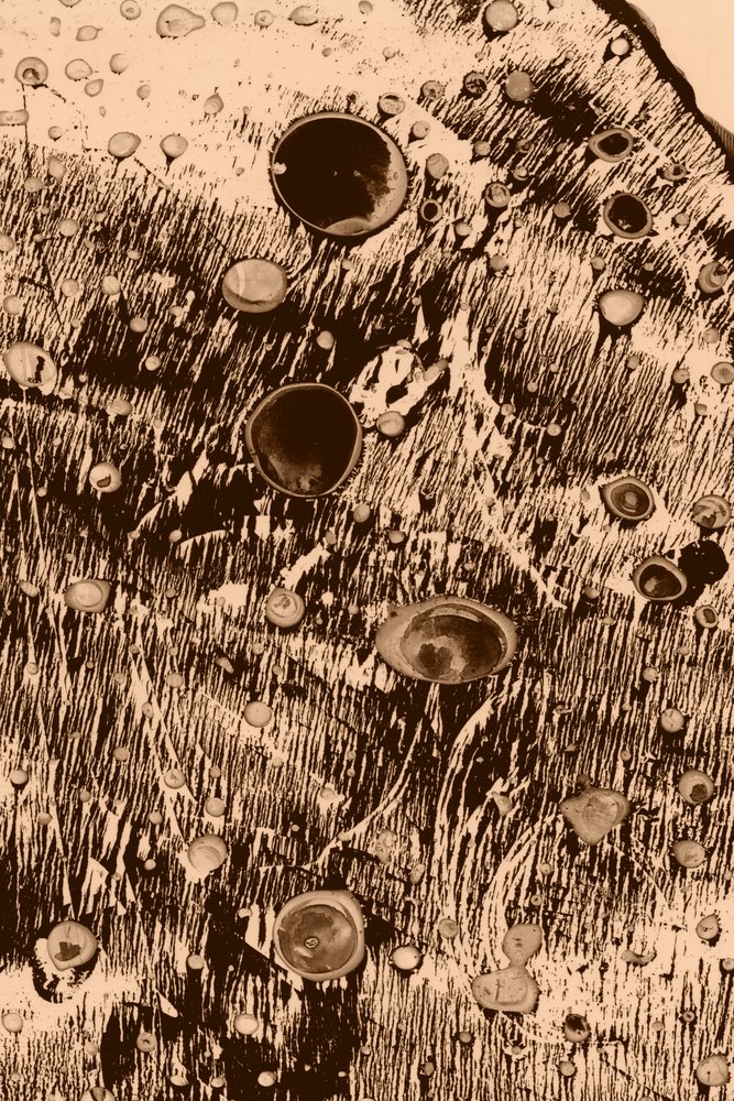 Oxígeno de Alexander Adiels