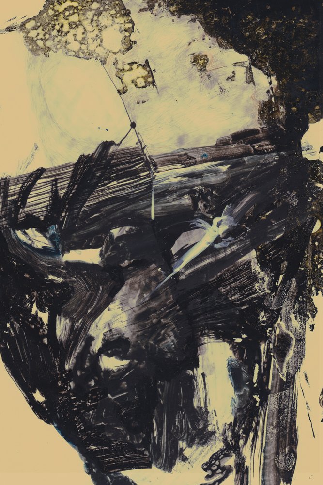 Polar de Alexander Adiels