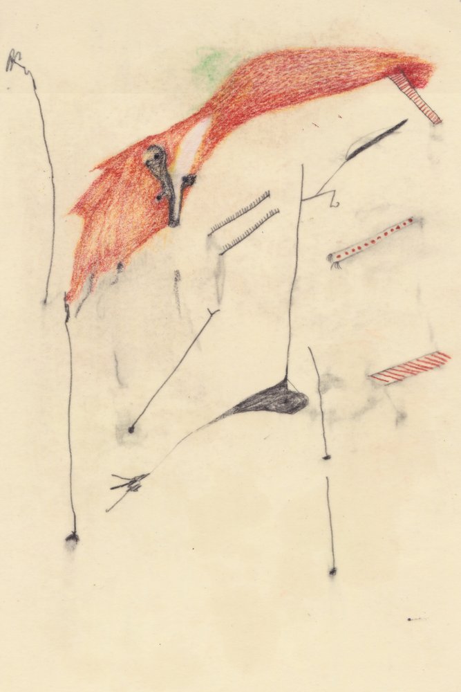 Astuto como un zorro de Alexander Adiels