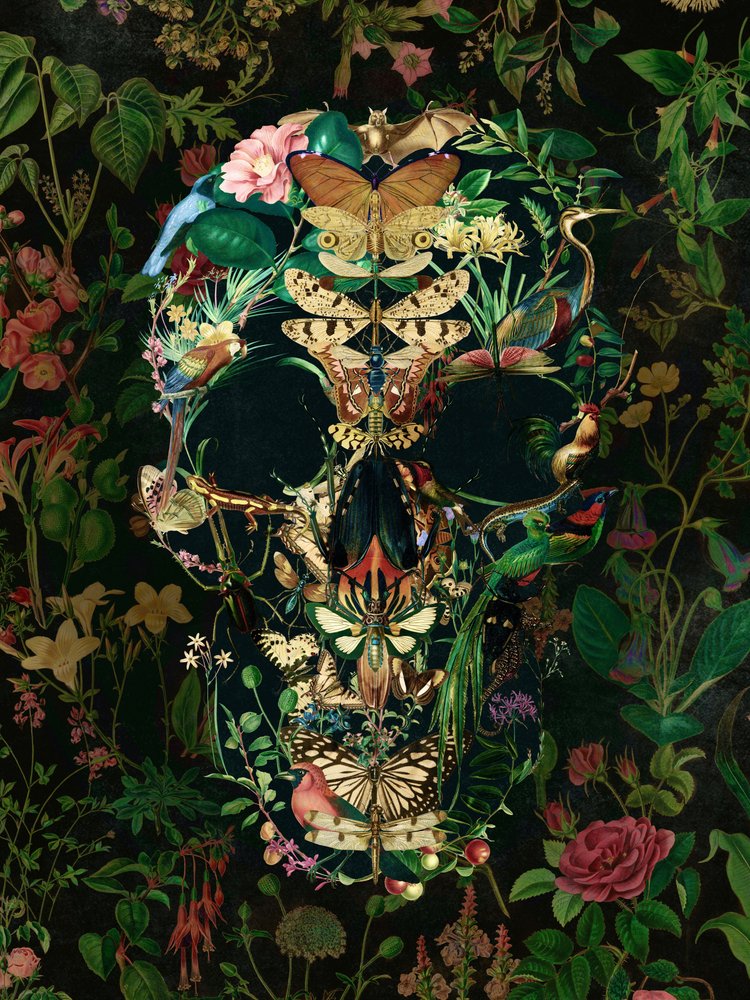Calavera botánica oscura de Ali Gulec