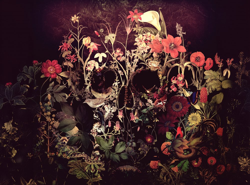 Calavera floral oscura de Ali Gulec