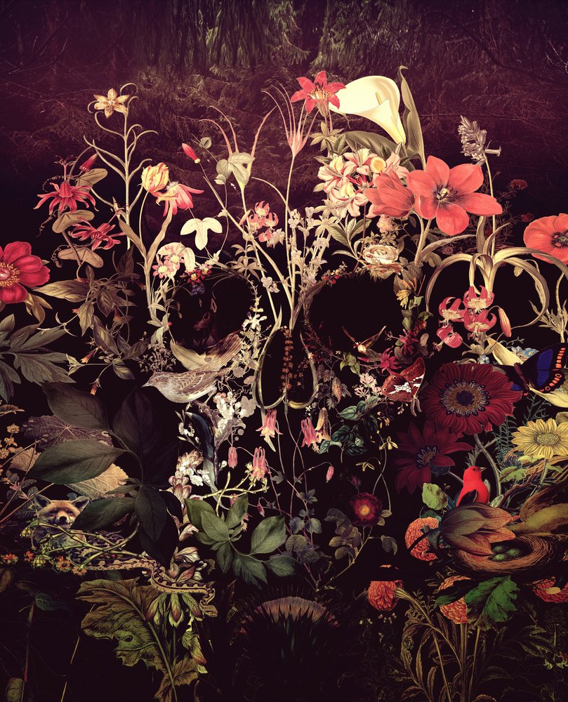 Calavera floral oscura de Ali Gulec