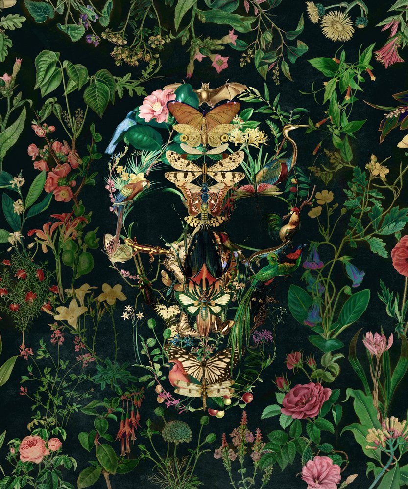 Calavera floral oscura de Ali Gulec
