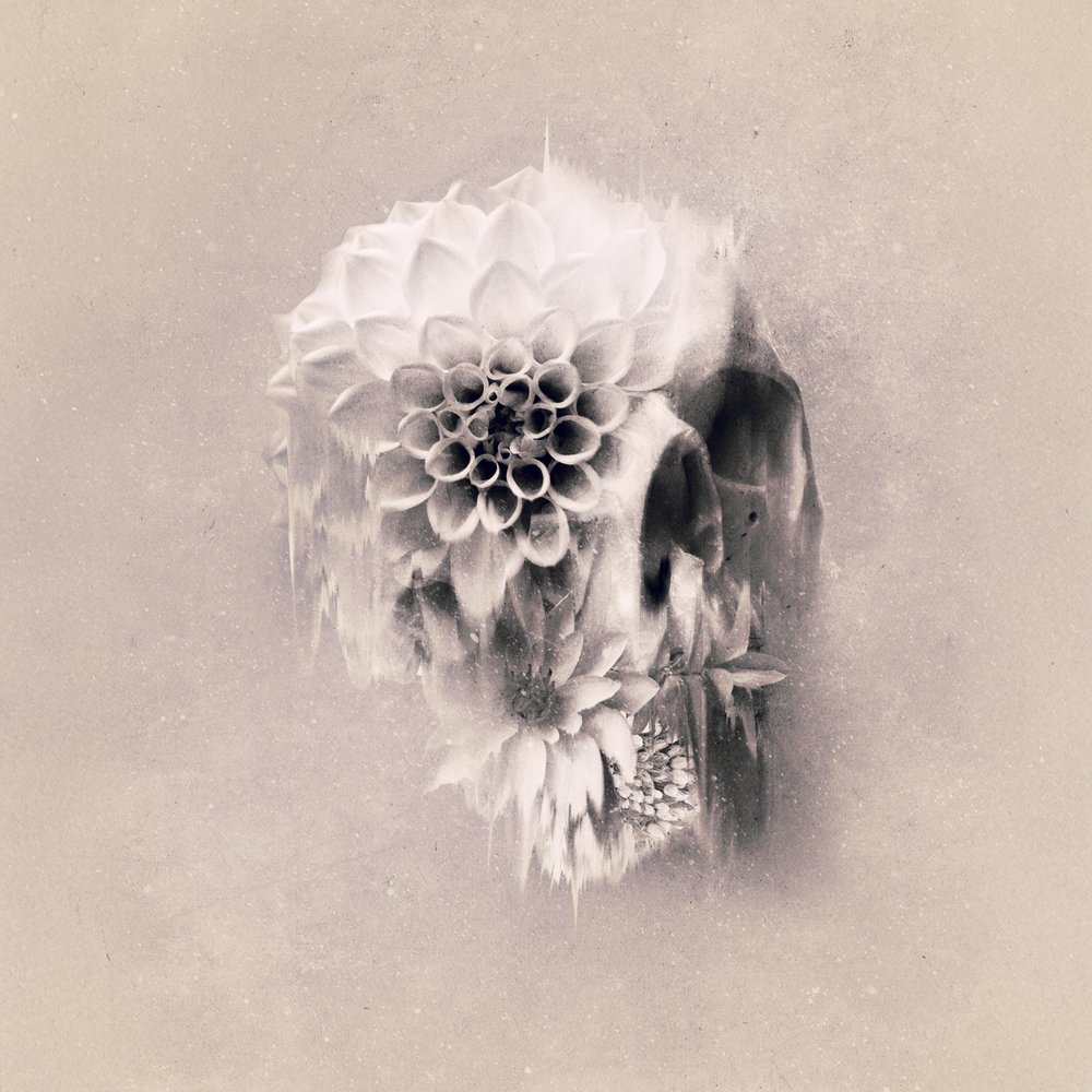 Calavera floral etérea de Ali Gulec