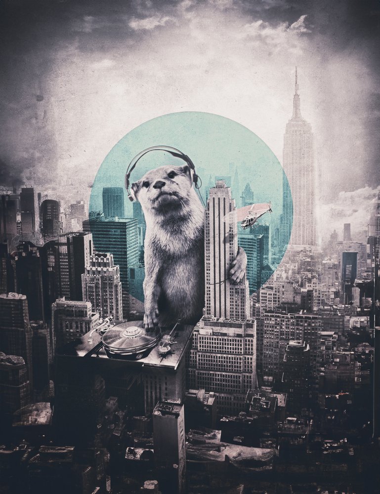 Urban Otter DJ de Ali Gulec