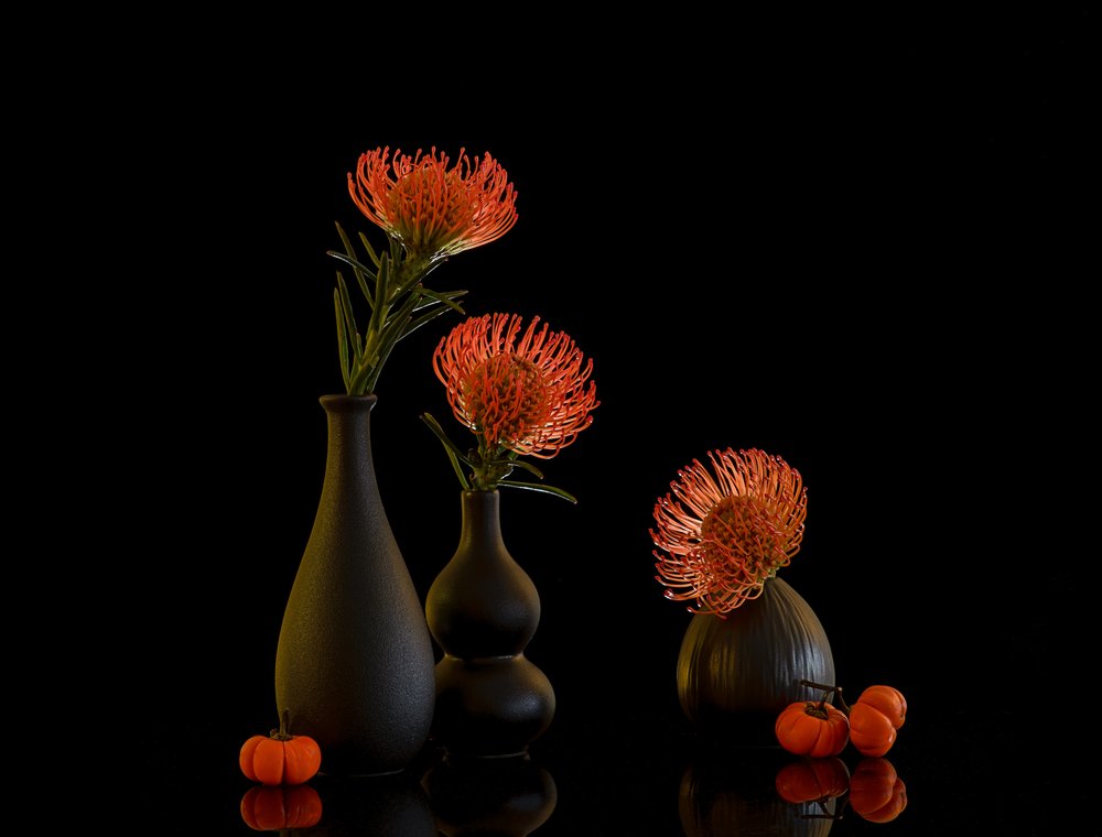 Naturaleza muerta con proteas otoñales de Alice Sheng