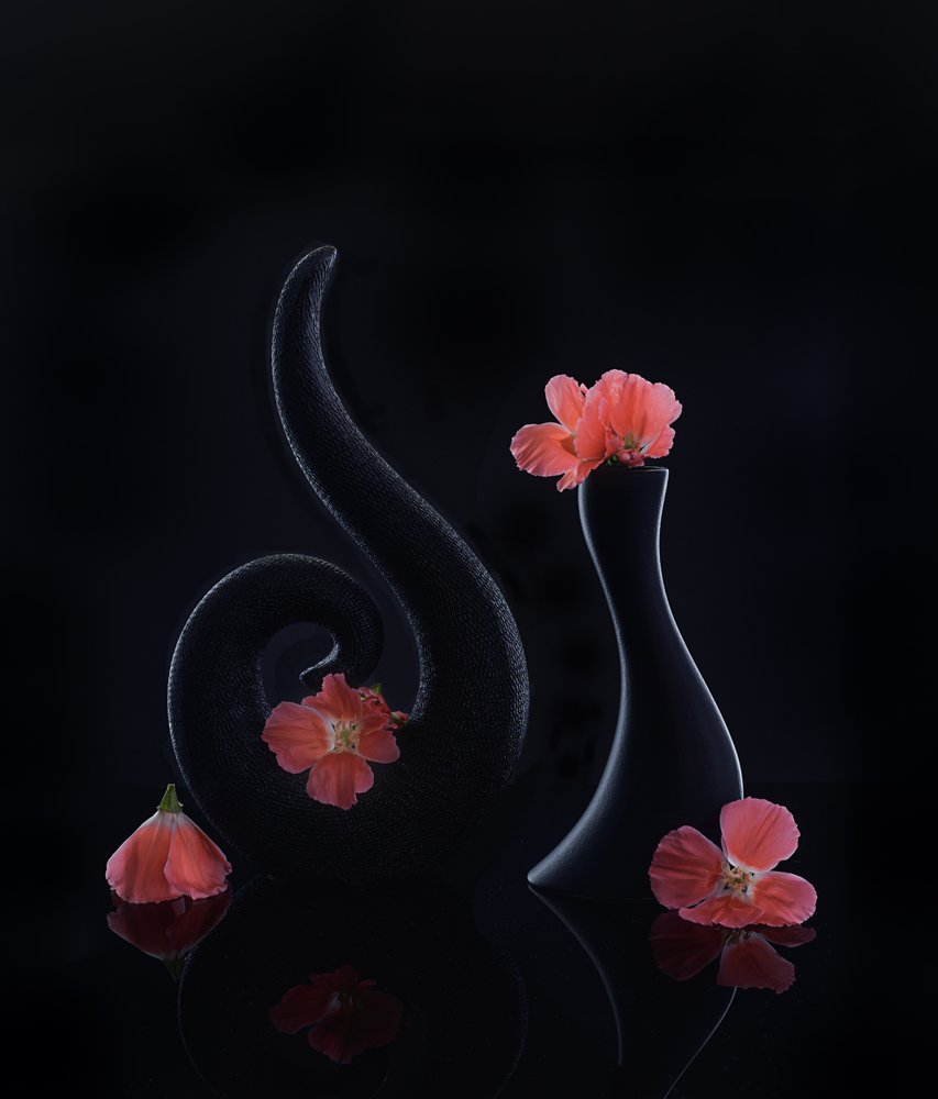 Flores de coral sobre fondo negro de Alice Sheng