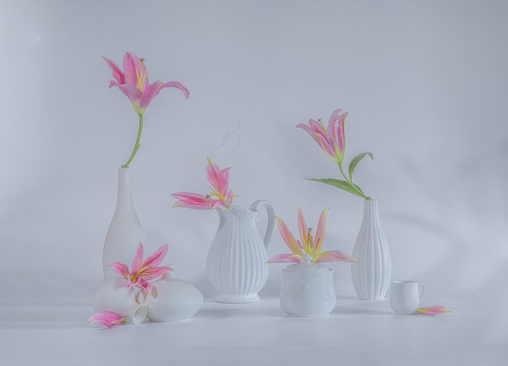 Lirios de un delicado color rosa de Alice Sheng