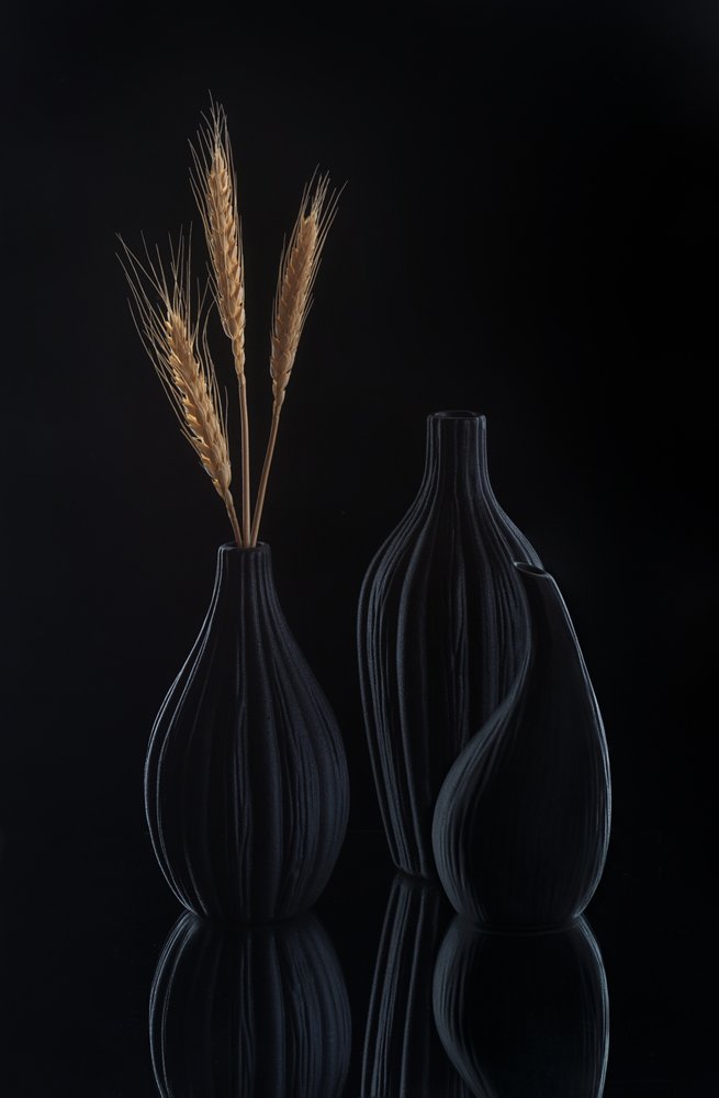 Elegante naturaleza muerta en tonos oscuros de Alice Sheng