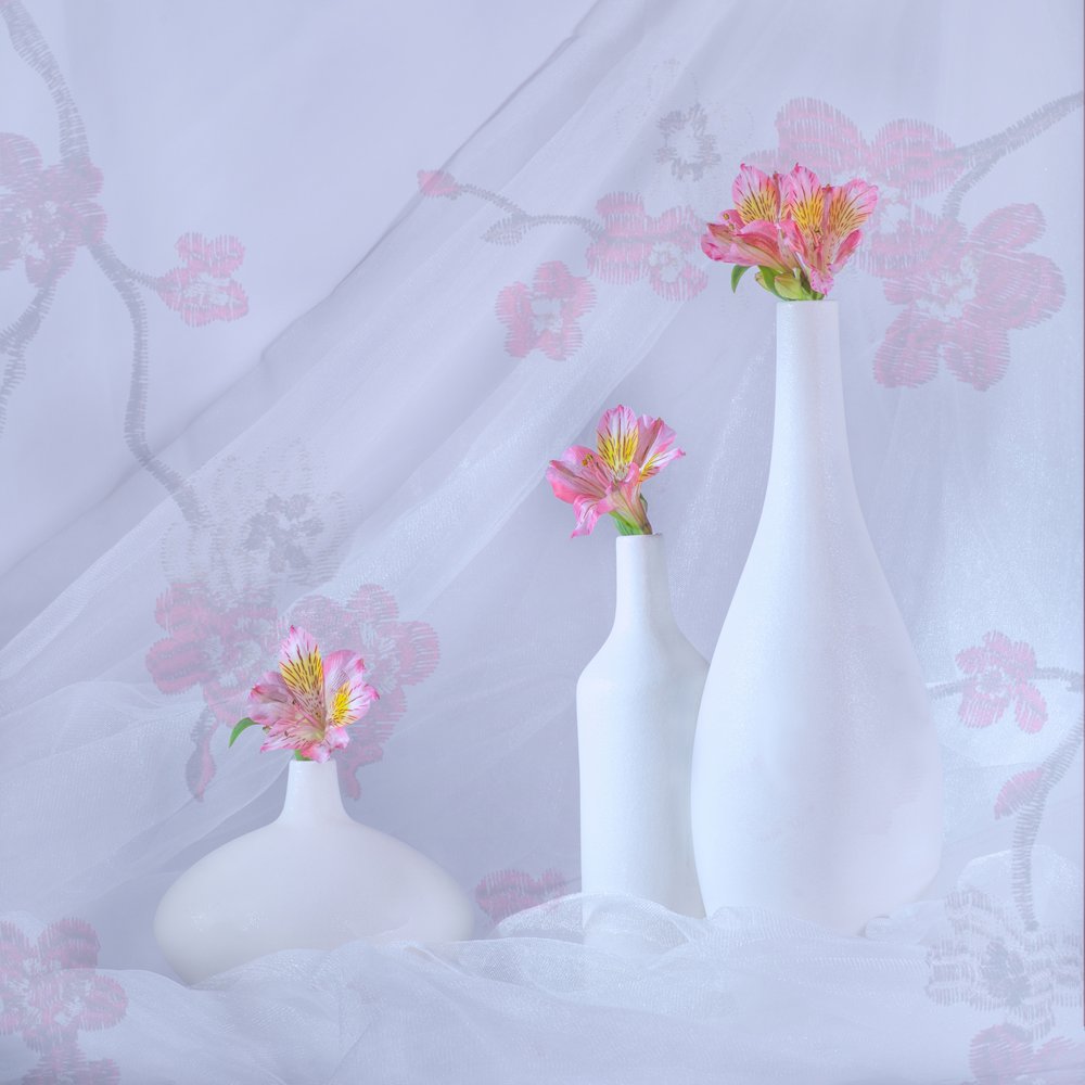 Elegantes flores rosas de Alice Sheng