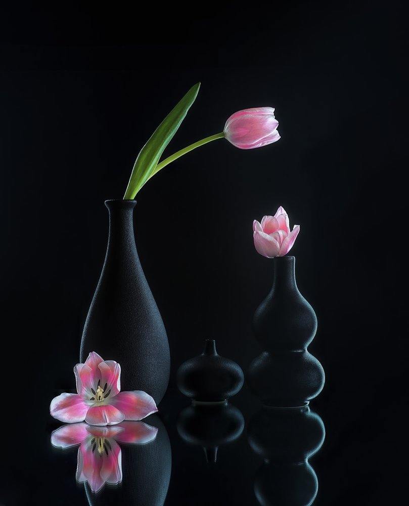 Reflejos de tulipanes elegantes de Alice Sheng