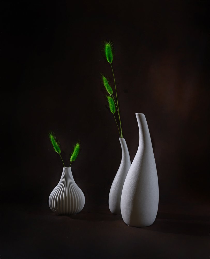 Jarrones elegantes con plantas de Alice Sheng