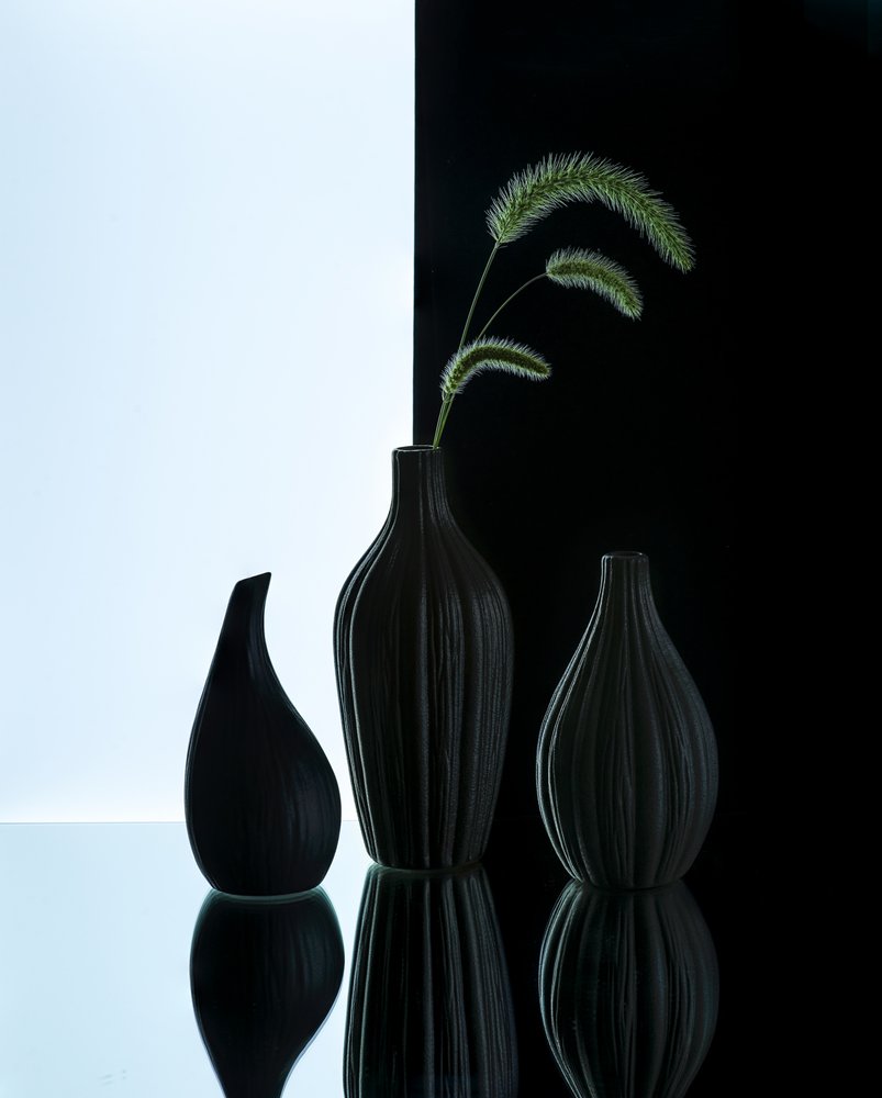 Jarrones elegantes con hierba de Alice Sheng