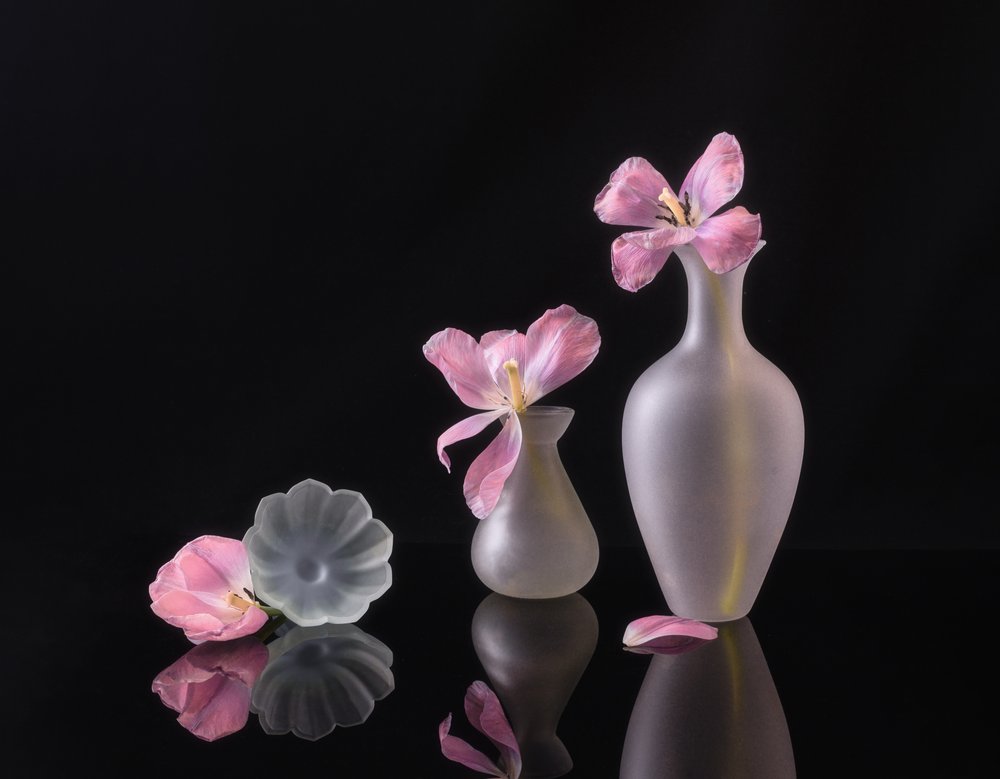 Tulipanes rosas que se marchitan de Alice Sheng