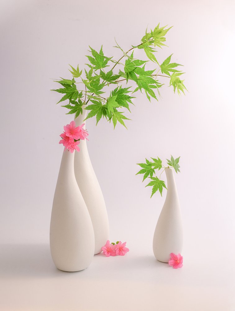Hojas verdes, flores rosas de Alice Sheng