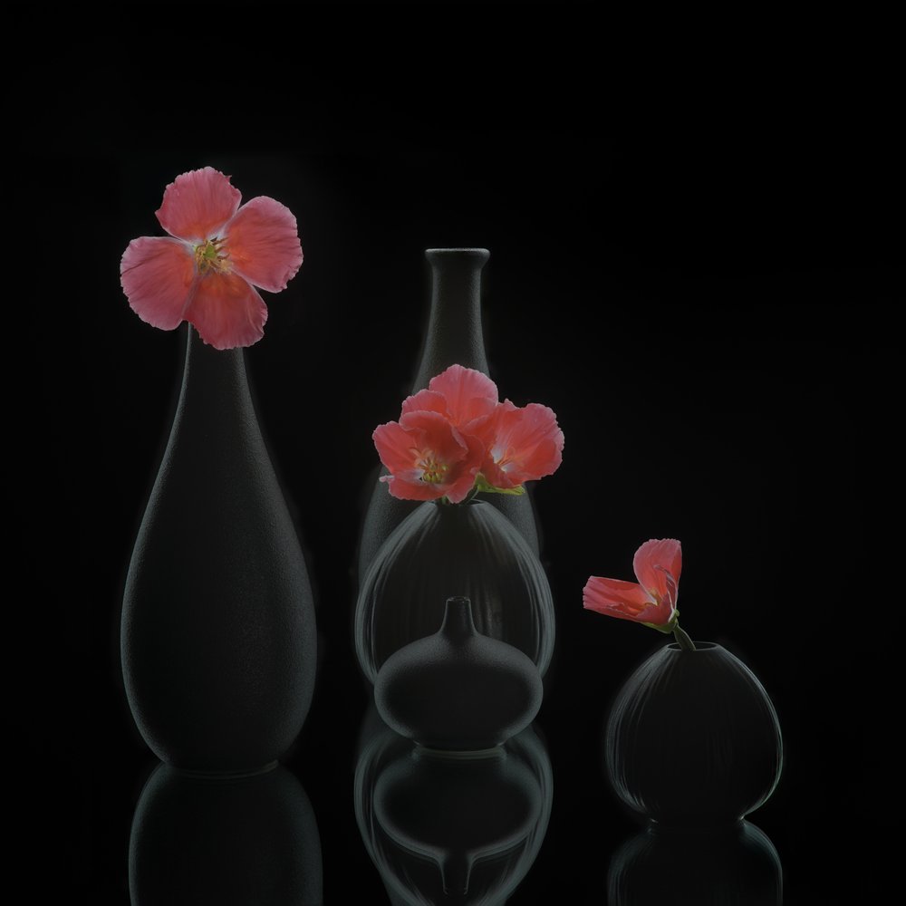 Jarrones florales minimalistas de Alice Sheng