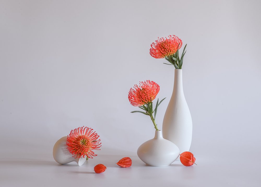 Jarrones de protea naranja de Alice Sheng