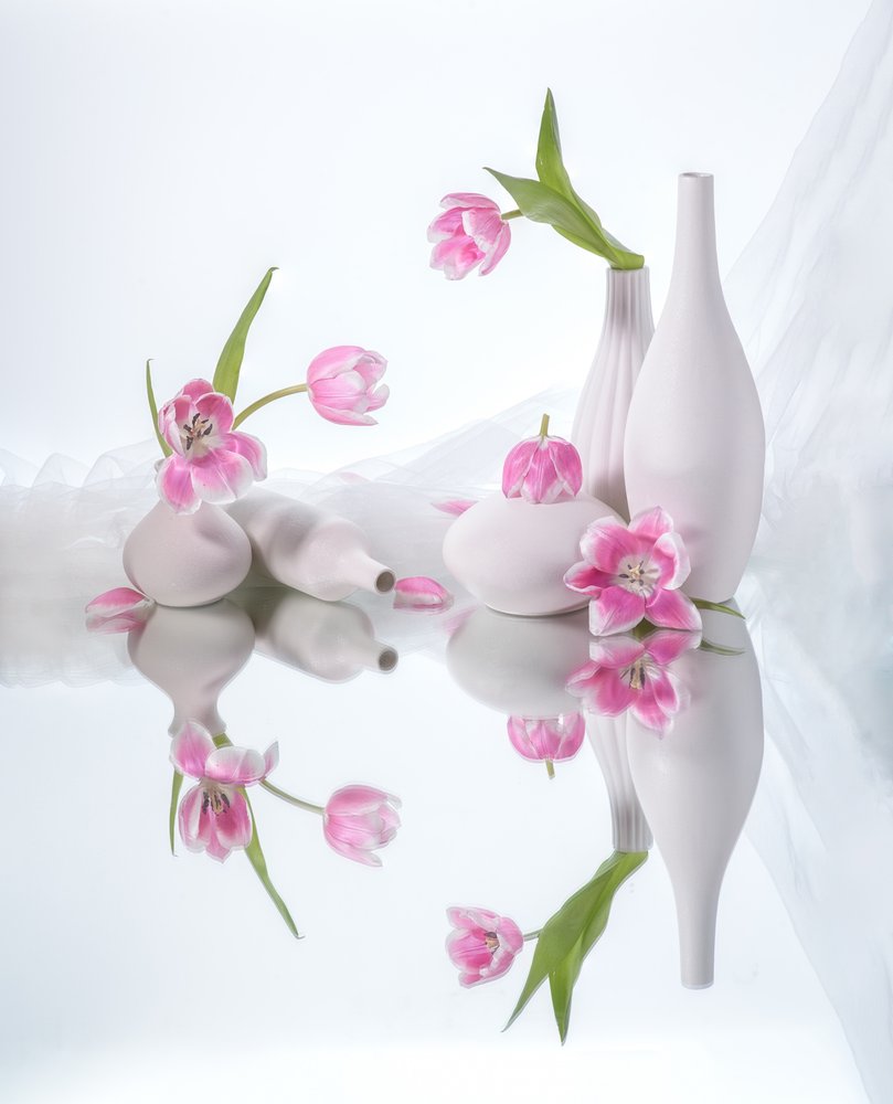 Reflexiones sobre el tulipán rosa de Alice Sheng