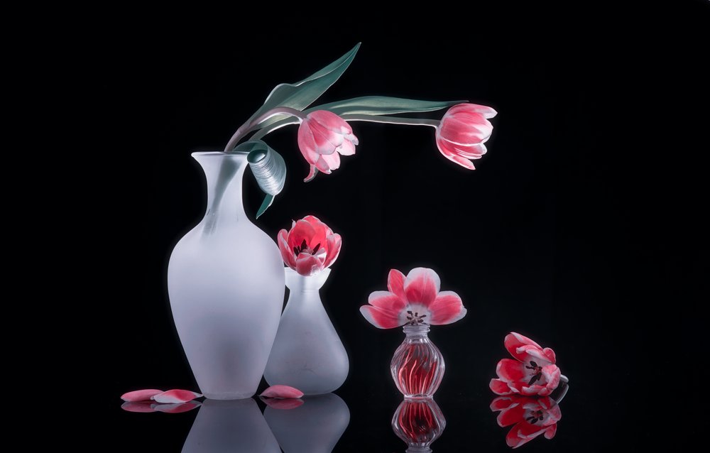 Naturaleza muerta con tulipanes rosas de Alice Sheng