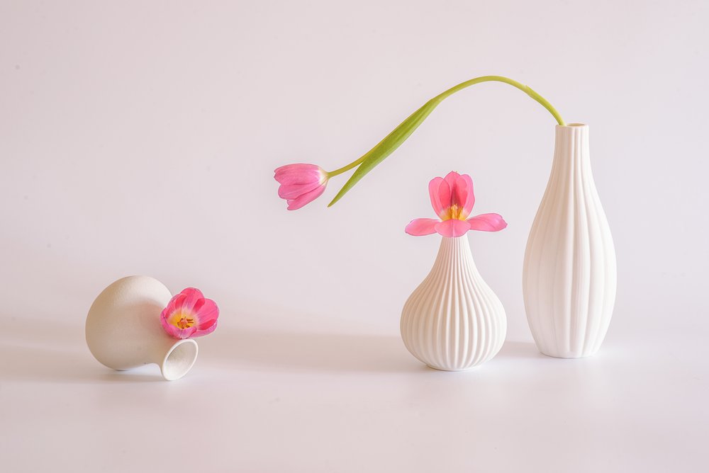 Tulipanes rosas en jarrones blancos de Alice Sheng