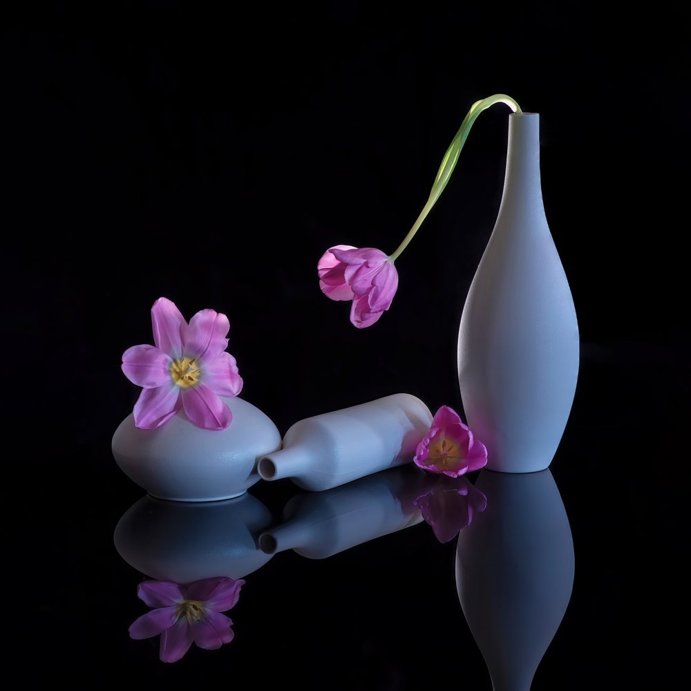 Tulipanes morados reflejados de Alice Sheng
