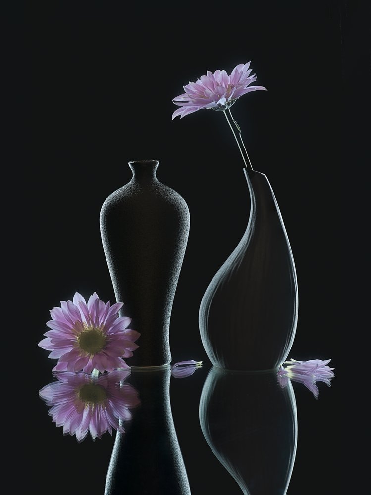 Reflexiones florales serenas de Alice Sheng