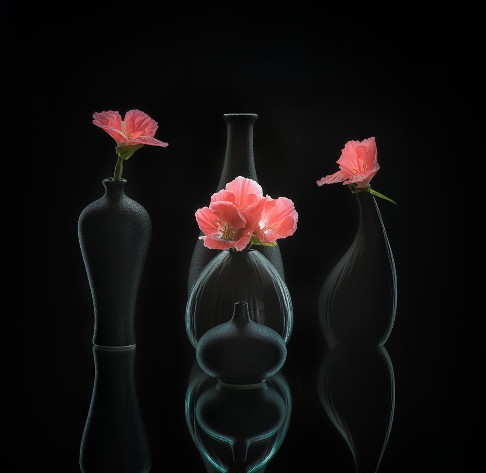 Naturaleza muerta 45 de Alice Sheng