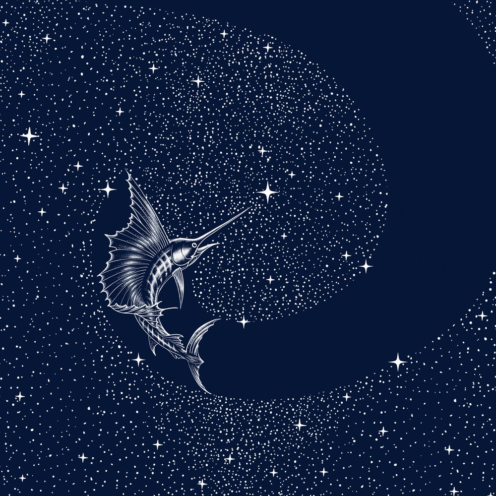 Pez vela celestial de Alirıza ÇAKIR