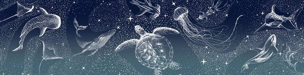 Animales marinos celestiales de Alirıza ÇAKIR