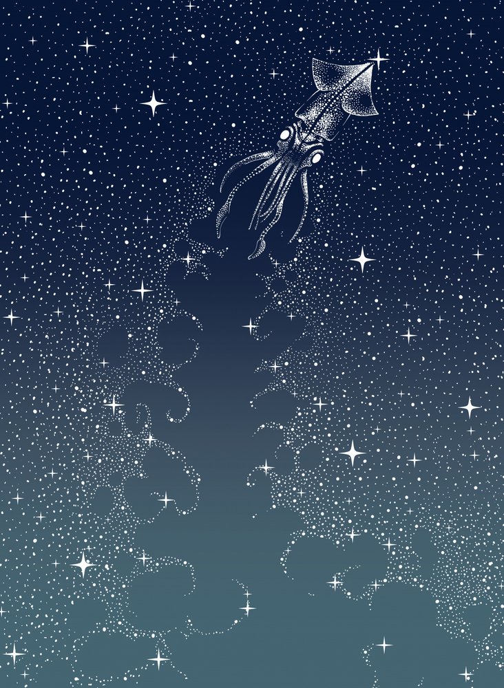 El ascenso del calamar celestial de Alirıza ÇAKIR