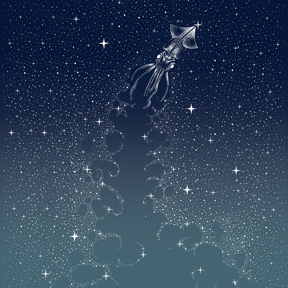 El vuelo del calamar celestial de Alirıza ÇAKIR