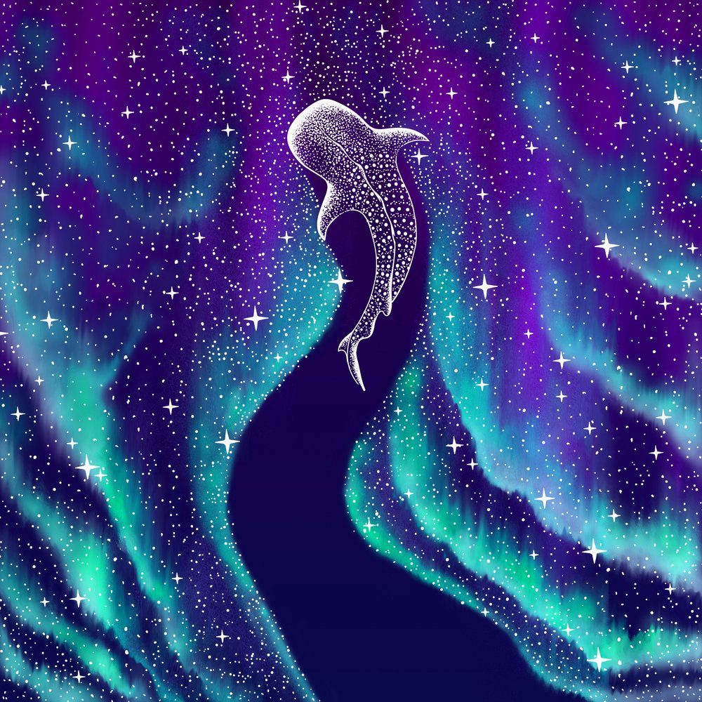 Tiburón ballena celestial de Alirıza ÇAKIR